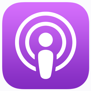 Best Ecommerce Podcast | Ecom 80/20 Podcast | HiFlyer Digital